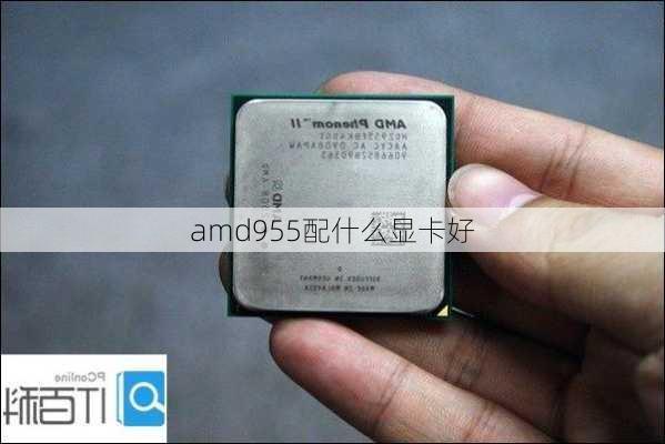 amd955配什么显卡好-第1张图片-模头数码科技网