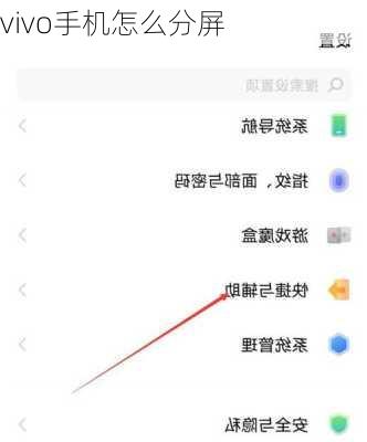 vivo手机怎么分屏-第3张图片-模头数码科技网