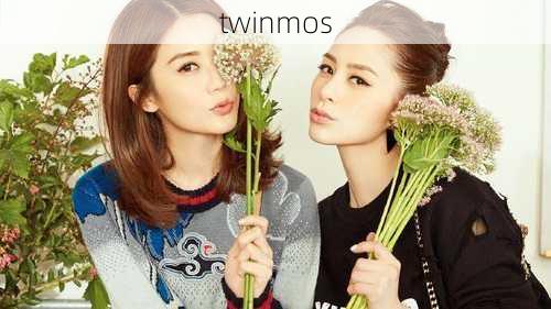 twinmos-第2张图片-模头数码科技网