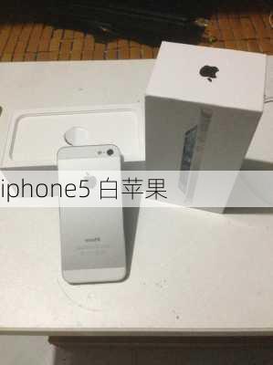 iphone5 白苹果-第3张图片-模头数码科技网