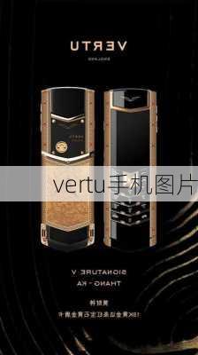 vertu手机图片-第2张图片-模头数码科技网