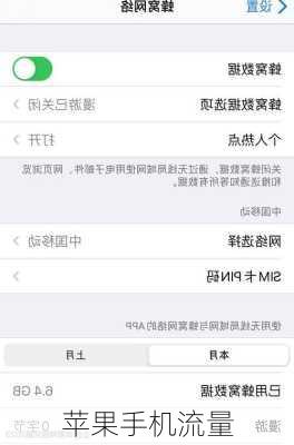 苹果手机流量-第2张图片-模头数码科技网