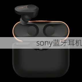 sony蓝牙耳机-第2张图片-模头数码科技网