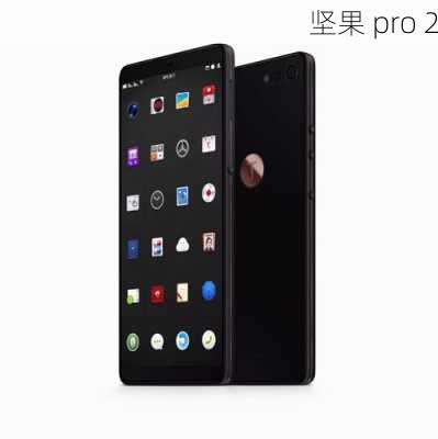 坚果 pro 2-第2张图片-模头数码科技网