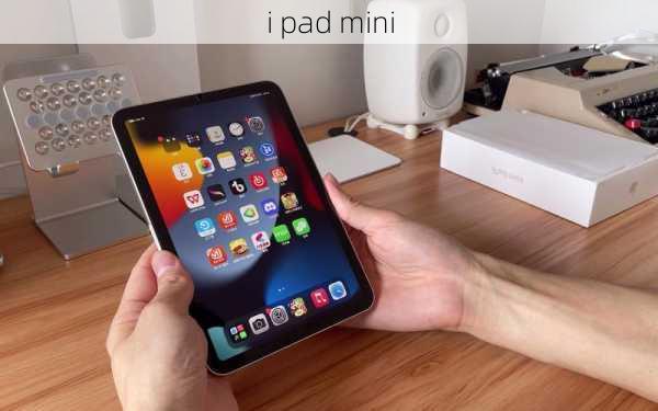 i pad mini-第1张图片-模头数码科技网