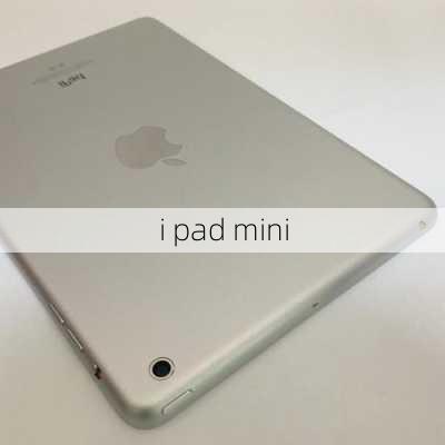 i pad mini-第2张图片-模头数码科技网