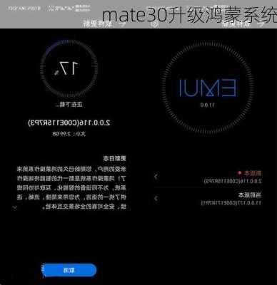 mate30升级鸿蒙系统-第3张图片-模头数码科技网