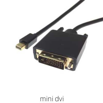 mini dvi-第1张图片-模头数码科技网