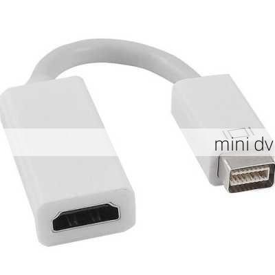 mini dvi-第2张图片-模头数码科技网