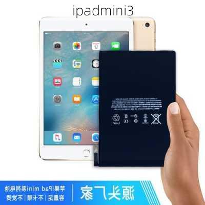 ipadmini3-第3张图片-模头数码科技网