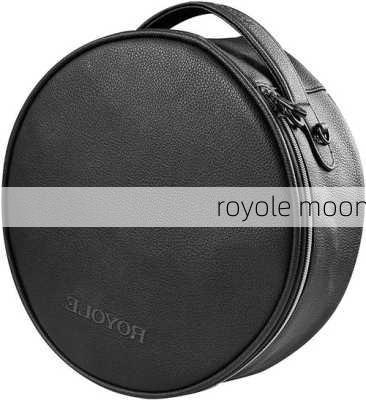 royole moon-第1张图片-模头数码科技网