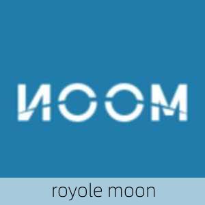 royole moon-第2张图片-模头数码科技网