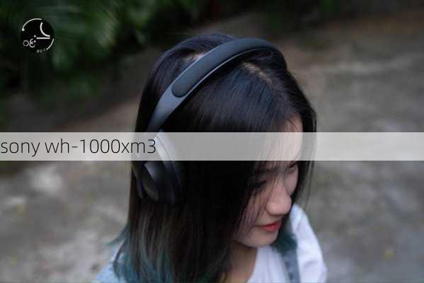 sony wh-1000xm3