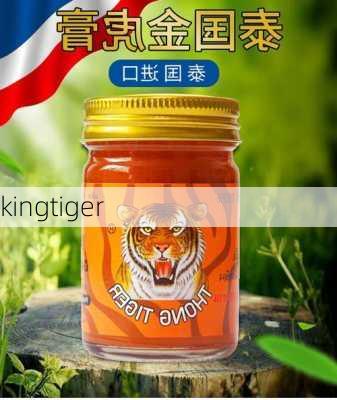 kingtiger-第3张图片-模头数码科技网