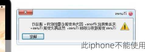 此iphone不能使用-第3张图片-模头数码科技网