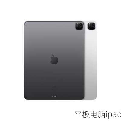 平板电脑ipad-第1张图片-模头数码科技网