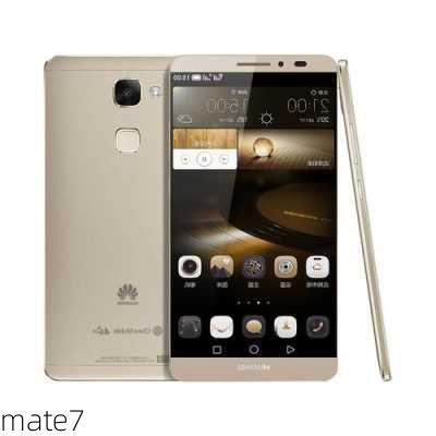 mate7