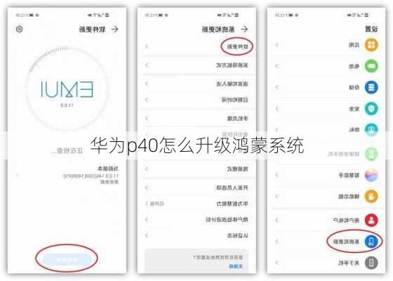 华为p40怎么升级鸿蒙系统-第3张图片-模头数码科技网