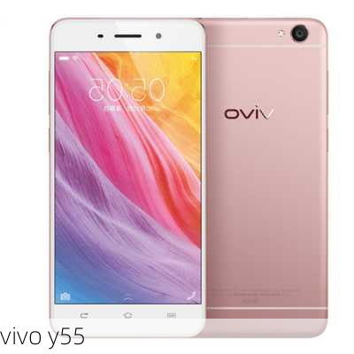 vivo y55