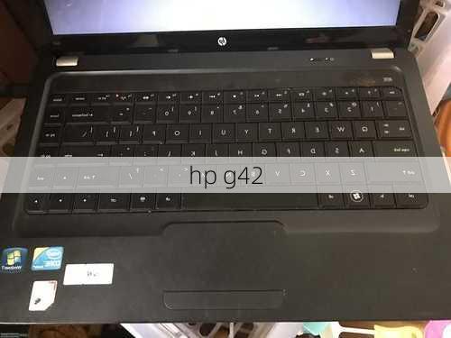 hp g42