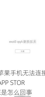 苹果手机无法连接APP STORE是怎么回事-第3张图片-模头数码科技网