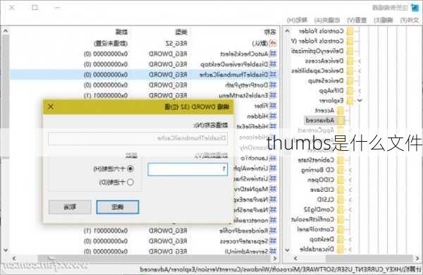 thumbs是什么文件-第2张图片-模头数码科技网
