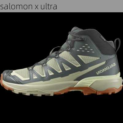 salomon x ultra-第3张图片-模头数码科技网