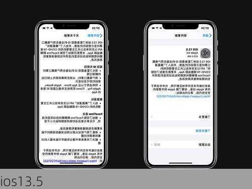 ios13.5-第1张图片-模头数码科技网