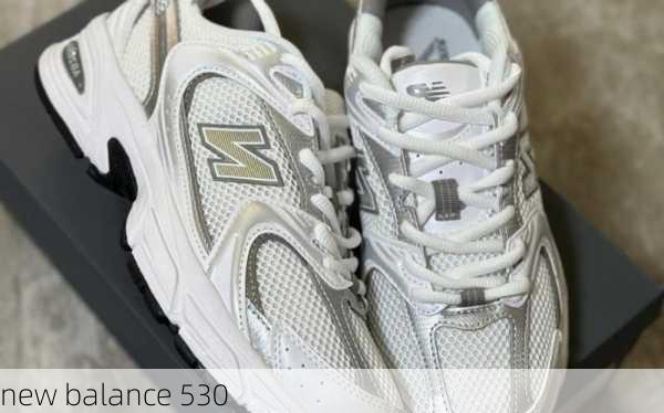 new balance 530-第3张图片-模头数码科技网