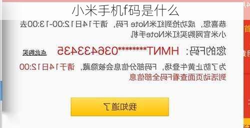 小米手机f码是什么-第1张图片-模头数码科技网