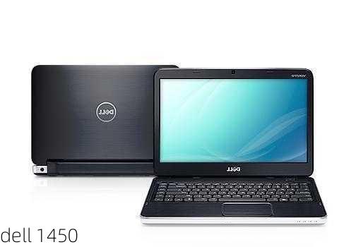 dell 1450-第3张图片-模头数码科技网