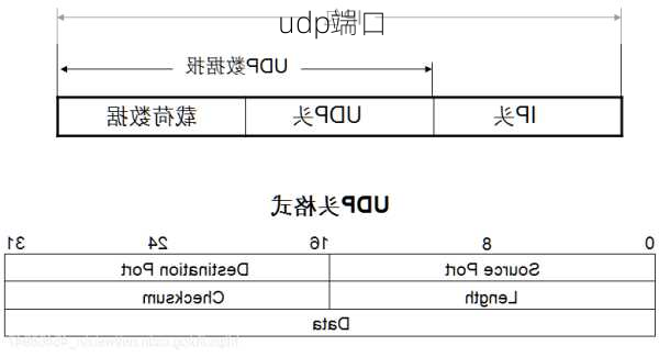 udp端口-第3张图片-模头数码科技网