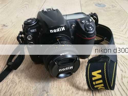 nikon d300-第2张图片-模头数码科技网