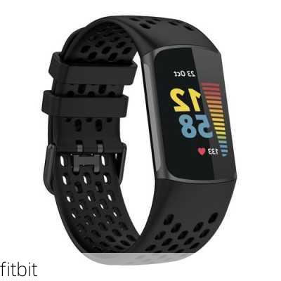 fitbit-第3张图片-模头数码科技网