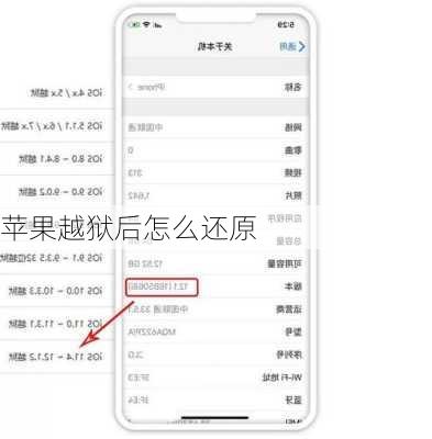 苹果越狱后怎么还原-第1张图片-模头数码科技网