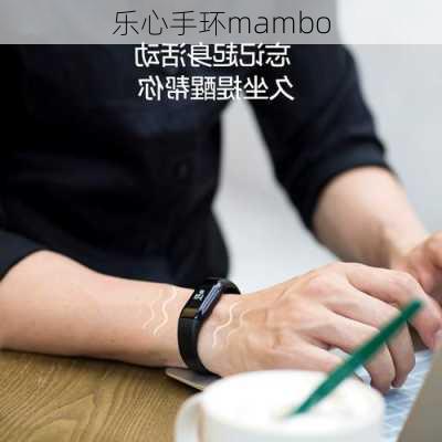 乐心手环mambo-第3张图片-模头数码科技网