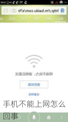 手机不能上网怎么回事-第2张图片-模头数码科技网