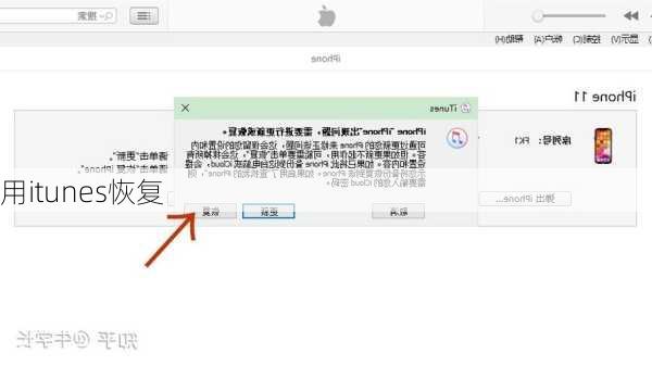 用itunes恢复-第2张图片-模头数码科技网