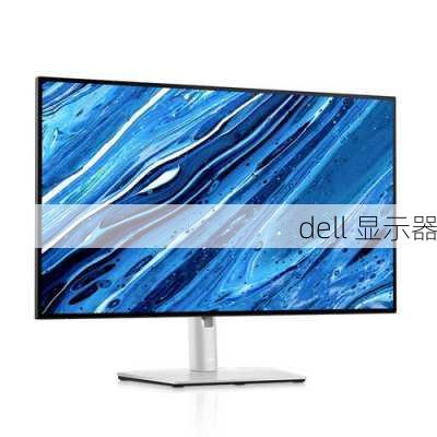 dell 显示器-第3张图片-模头数码科技网