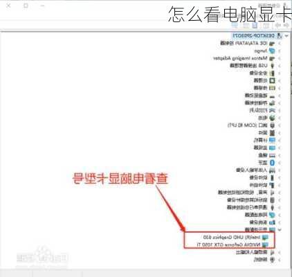 怎么看电脑显卡-第3张图片-模头数码科技网