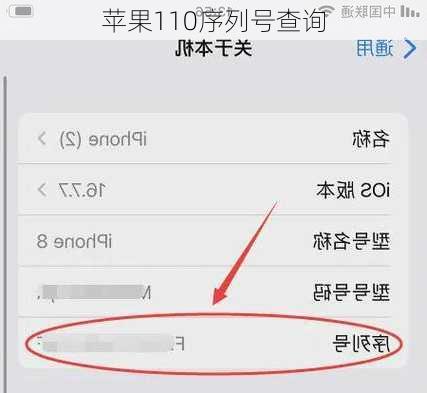 苹果110序列号查询-第1张图片-模头数码科技网