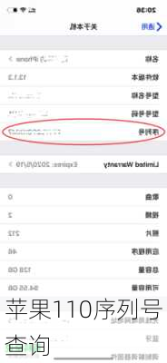 苹果110序列号查询-第3张图片-模头数码科技网