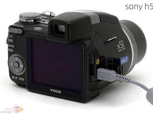 sony h5