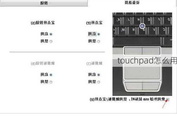 touchpad怎么用-第3张图片-模头数码科技网