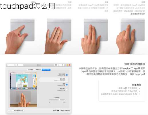 touchpad怎么用-第2张图片-模头数码科技网