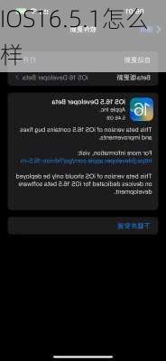 IOS16.5.1怎么样-第2张图片-模头数码科技网