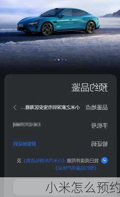 小米怎么预约-第3张图片-模头数码科技网