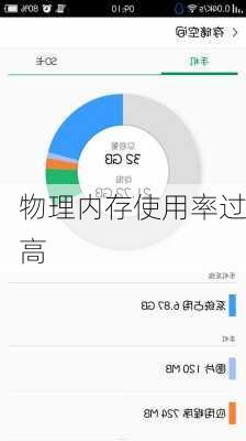 物理内存使用率过高-第3张图片-模头数码科技网