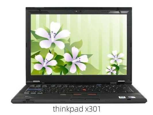 thinkpad x301-第3张图片-模头数码科技网