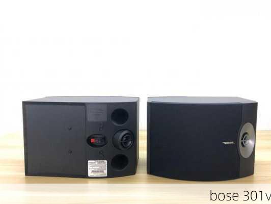 bose 301v-第2张图片-模头数码科技网